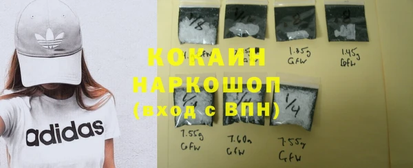 сатива Михайловка