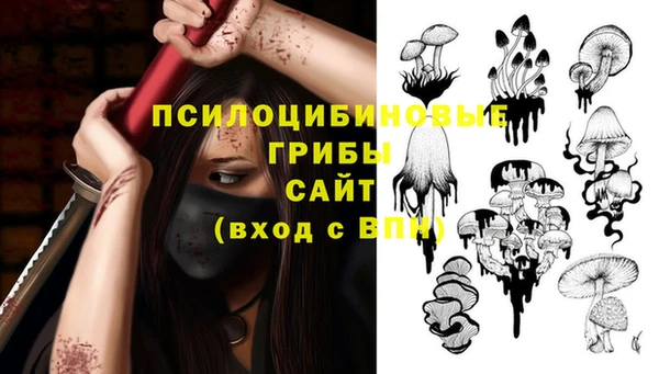 сатива Михайловка