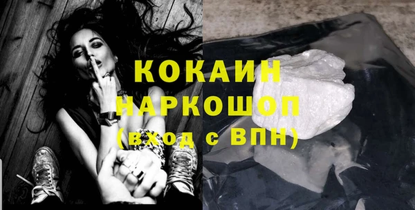 сатива Михайловка