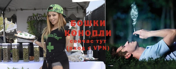 сатива Михайловка