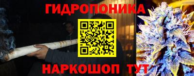 индика Азнакаево