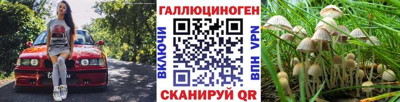OMG рабочий сайт  Уфа  Псилоцибиновые грибы прущие грибы  дарнет шоп 