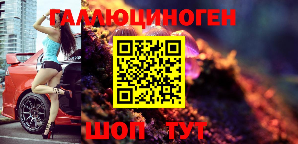 Уфа  Галлюциногенные грибы Psilocybe  Вход с VPN  Галлюциногенные грибы мухоморы 